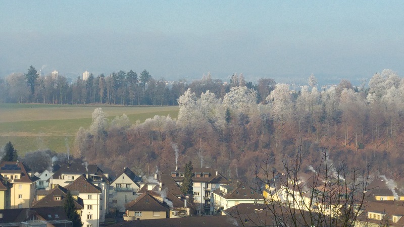 Maihof-Rotsee